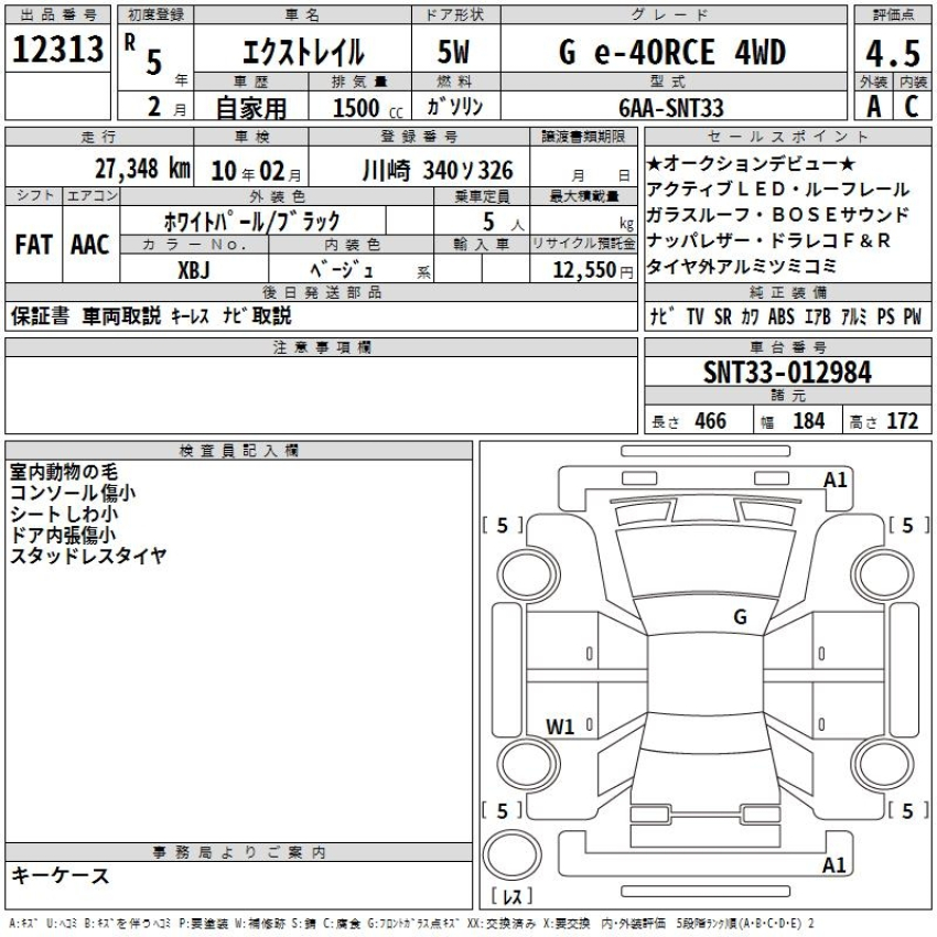 Auction Sheet for X-Trail