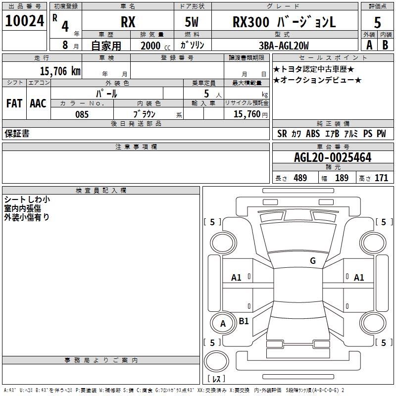 Auction Sheet for RX300